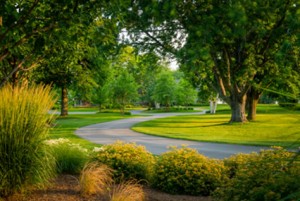 wentworth landscaping